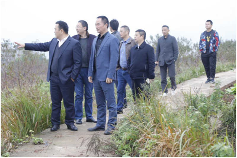 1542017388922281.jpg 2222222.jpg